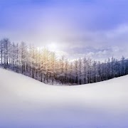 Snowy Winter captura de pantalla 5