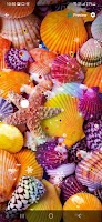 Sea Shell Wallpaper screenshot 7