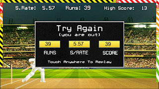 Blokstok Cricket screenshot 3