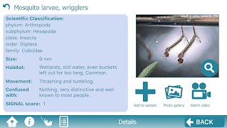 The Waterbug App imagem de tela 5