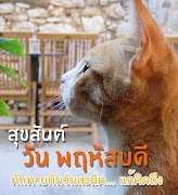 สวัสดีตอนเช้าตามวัน screenshot 5