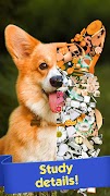 Tiny Things: hidden object games poster