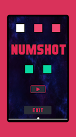NUMSHOT poster