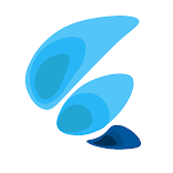 Flutter Ui Design Container