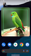 Square Photo Widget screenshot 5