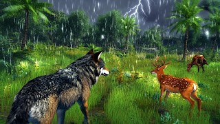 The Wolf Simulator screenshot 3