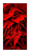 RED WALLPAPER HD Screenshot 4