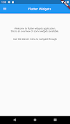 Flutter Widgets Poster