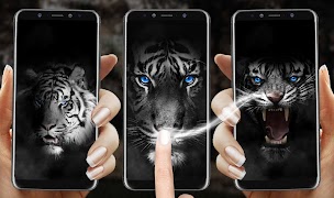 Roar Tiger Theme screenshot 2