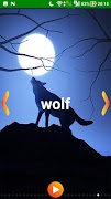 Animal Sounds screenshot 5