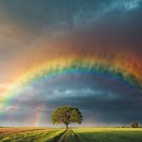 APK Rainbow Wallpaper