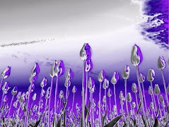 Thermal scanner camera VR Ekran Görüntüsü 7