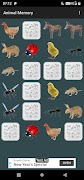 Animal Memory-poster