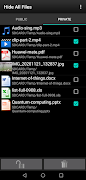 Hide All Files screenshot 1