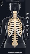 Skeleton Anatomy Pro. 截图 4