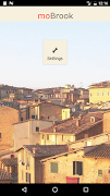 MoBrook постер
