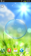 Spring Live Wallpaper 海报