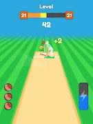Cricket Bowling screenshot 4