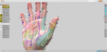 برنامه‌نما Hand Acupoint عکس از صفحه