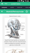 3 Schermata Lymphatic System Reference