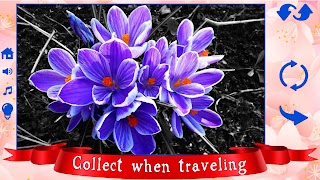 Big puzzles flowers screenshot 4