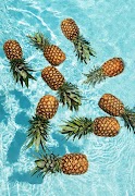 Pineapple wallpaper screenshot 3
