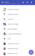 Brain screenshot 5