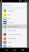 Open Shared URL poster