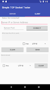 Simple TCP Socket Tester Affiche