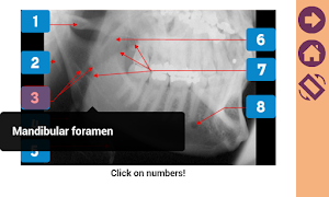 برنامه‌نما Dentora عکس از صفحه