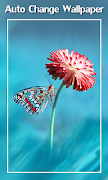 Auto Change Wallpaper imagem de tela 3