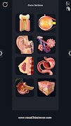 Human Anatomy screenshot 4