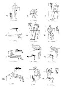 Daily Exercise Step by Step screenshot 3