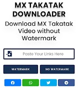 Vidmaster ảnh chụp màn hình 1