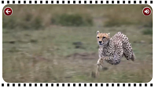 برنامه‌نما Netto – Ozeanien Schnitzeljagd عکس از صفحه