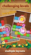 Block Blast تصوير الشاشة 2