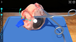 AR 해부실험실 screenshot 7