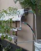 Flowered Pots screenshot 1