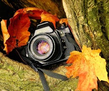 매직 카메라 포스터