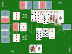 Expert Canasta Pro screenshot 4