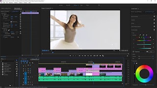 Adobe Premiere Pro Tutorial Ekran Görüntüsü 2