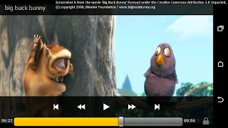 RC Player Pro syot layar 1