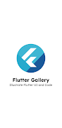 Flutter Gallery постер