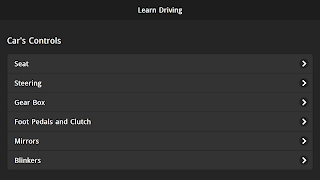 Learn Driving Offline ภาพหน้าจอ 4