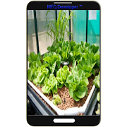 Diy hydroponics system plans poster