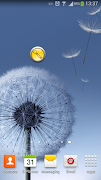 noSpy Flashlight screenshot 4