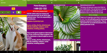 Cats & Plants Pet Security App ภาพหน้าจอ 2