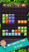 برنامهنما Block Puzzle عکس از صفحه