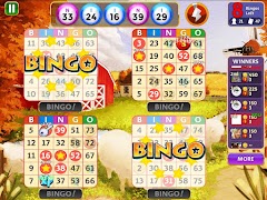 5 Schermata Bingo Star