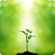 Plants Identification poster
